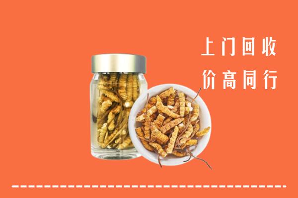 常德回收冬虫夏草