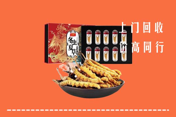 常德回收虫草